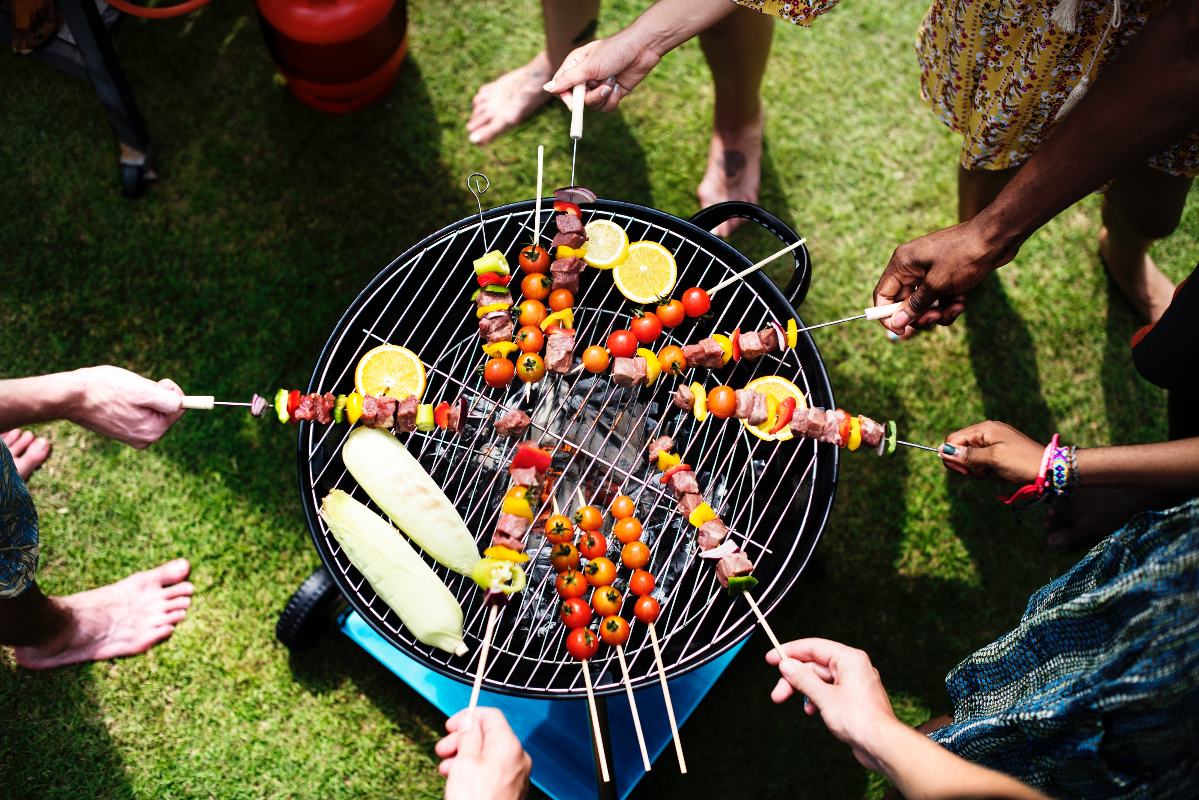 adults-aerial-barbecue-1260310