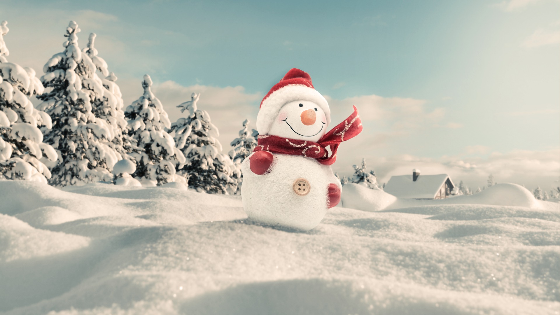 snowman-4663395_1920